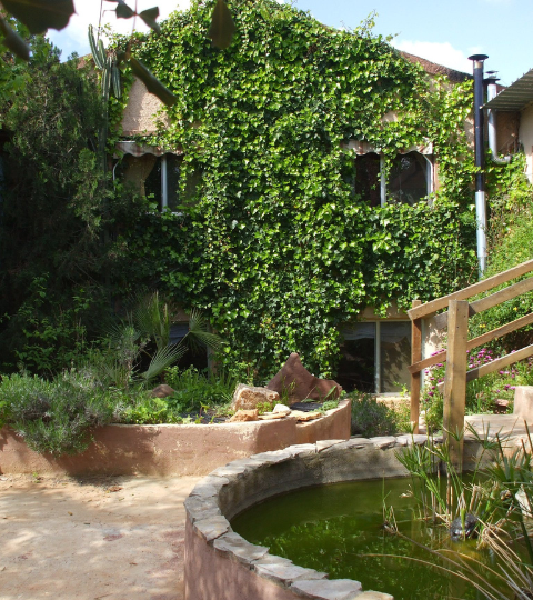 retiro Sanar Linaje
