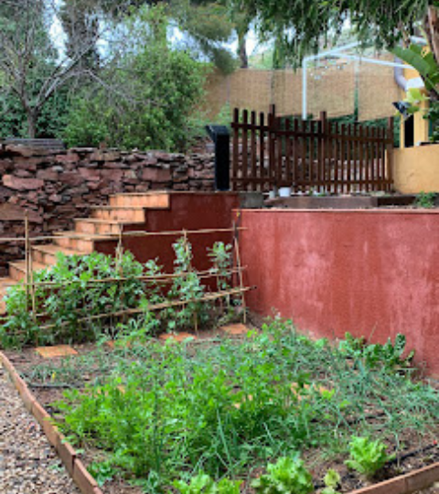 Centro calima